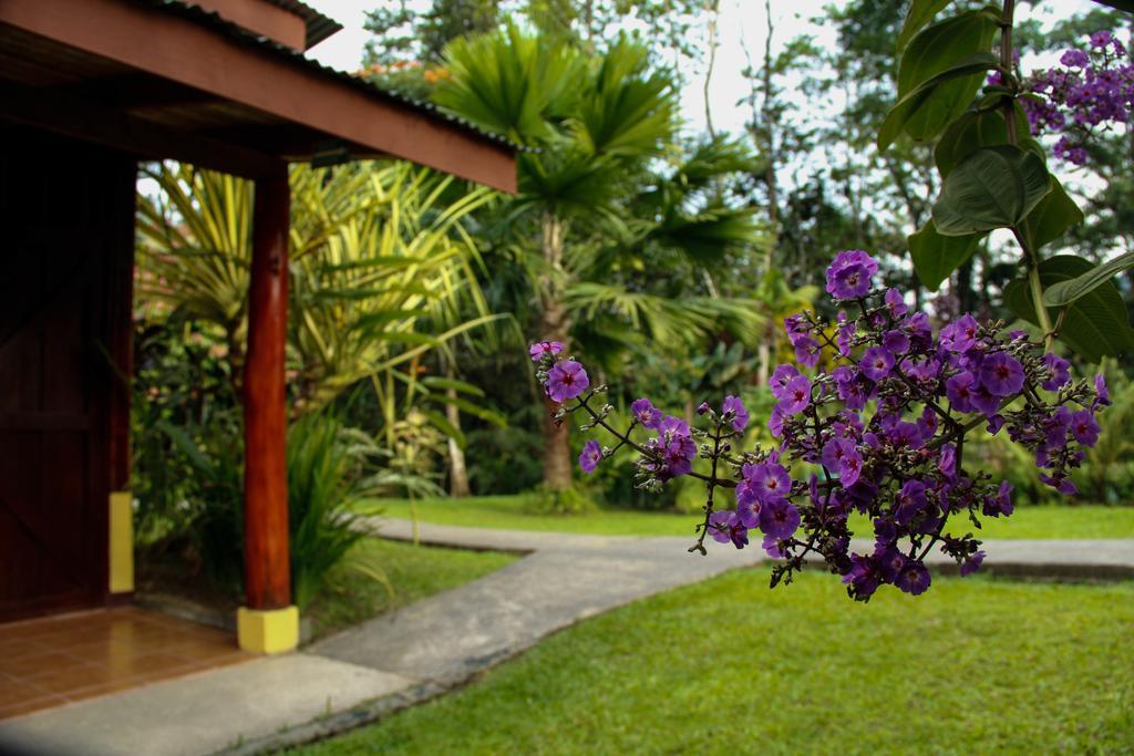 Catarata Eco Lodge La Fortuna Exterior photo