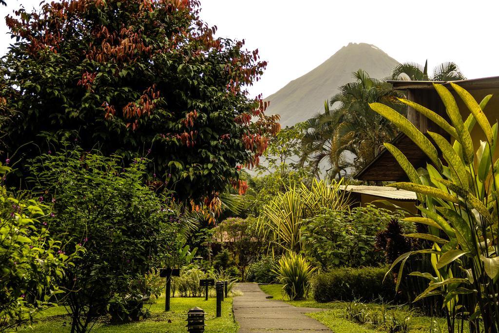 Catarata Eco Lodge La Fortuna Exterior photo