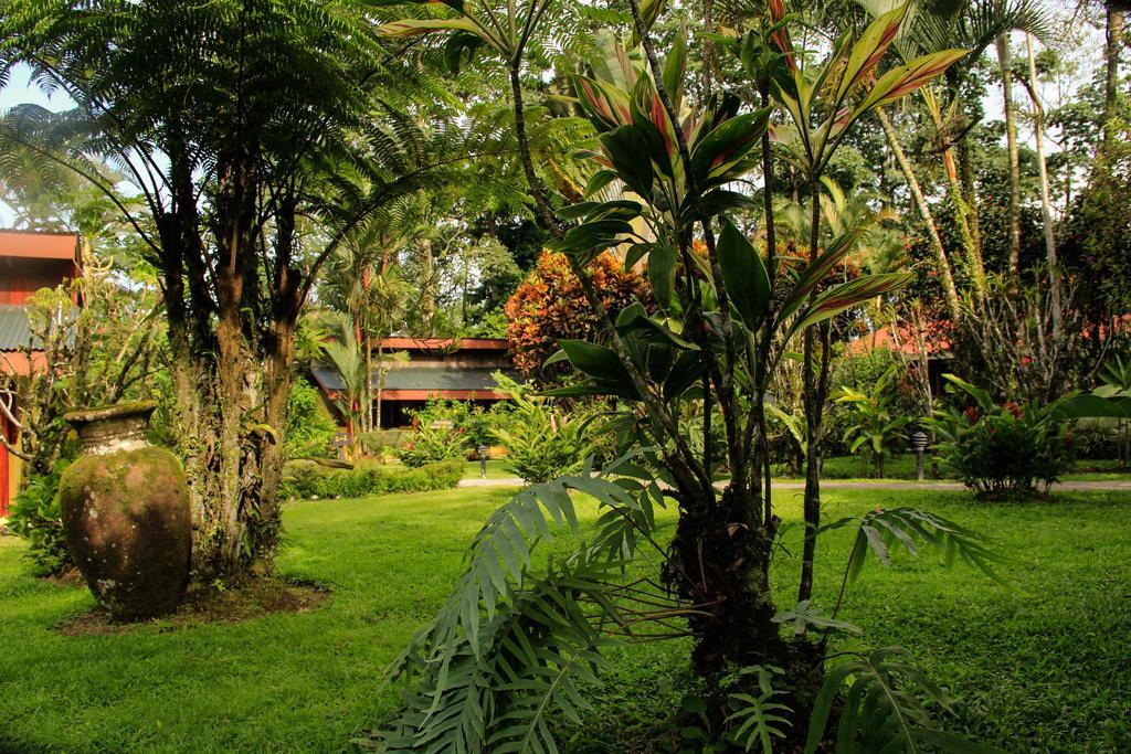 Catarata Eco Lodge La Fortuna Exterior photo